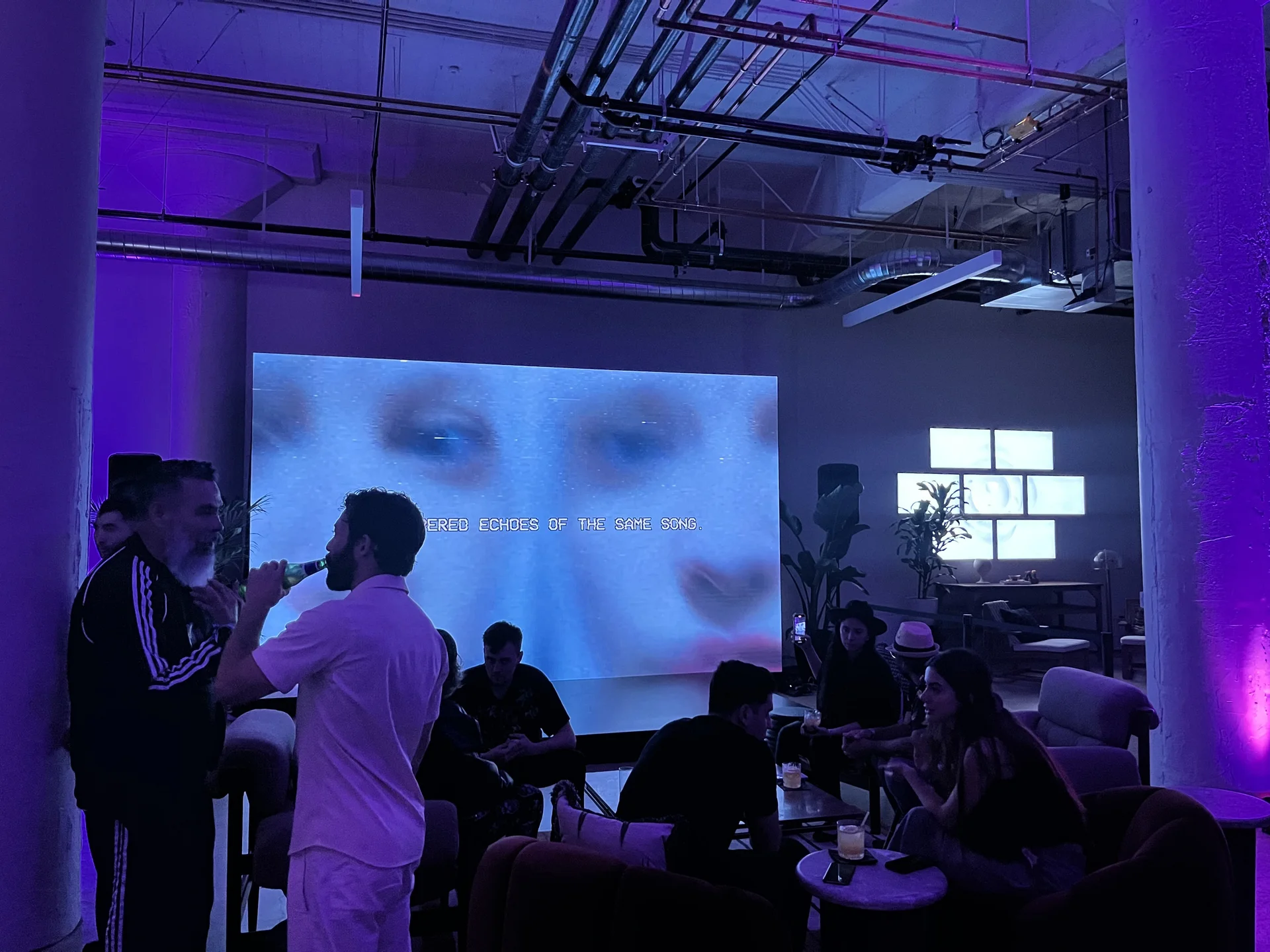 Echoes of Identity shown on a large screen at an event